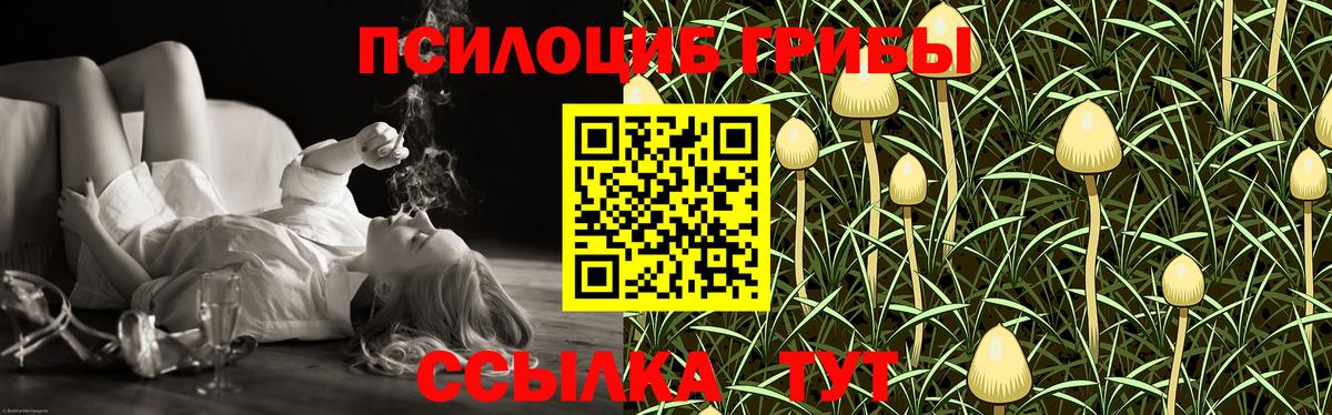 Галлюциногенные грибы ЛСД Зерноград