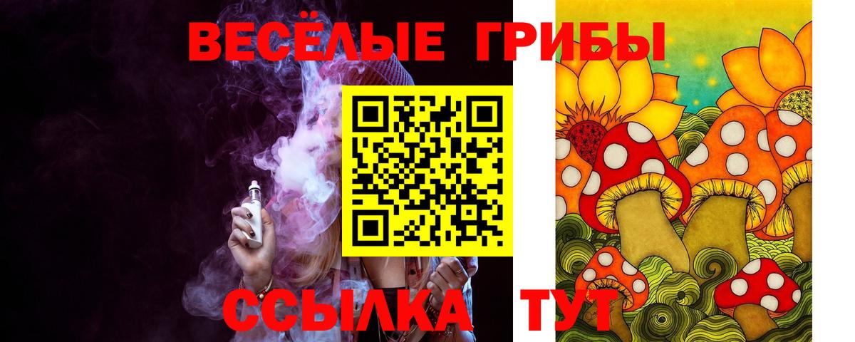 где найти   Галлюциногенные грибы Psilocybine cubensis  Вход с VPN  Зерноград 