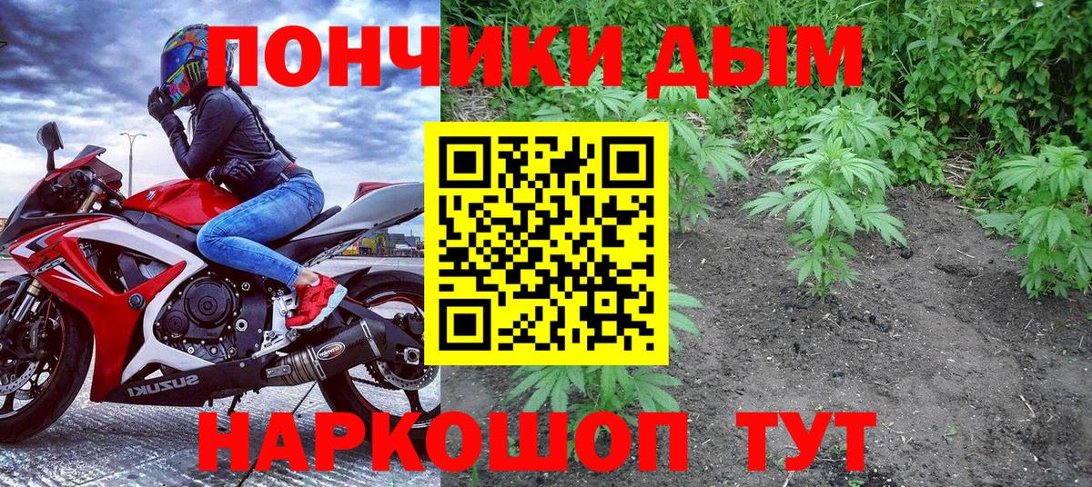 Каннабис семена Зерноград